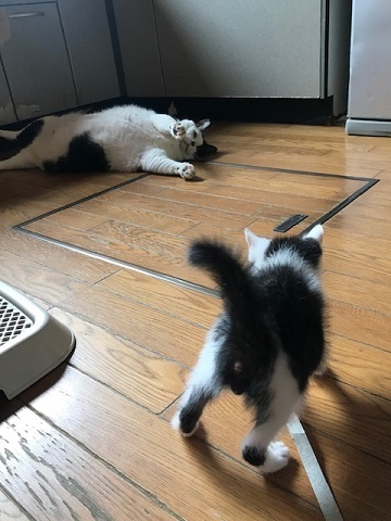 驚愕の14.5キロ!!_f0242002_13462677.jpg