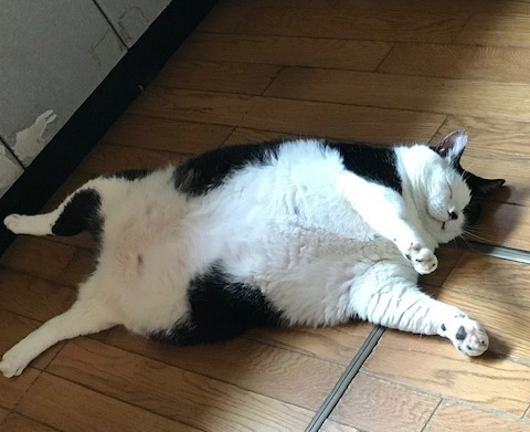 驚愕の14.5キロ!!_f0242002_13463886.jpg