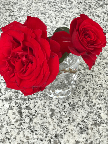 真っ赤な薔薇が咲いた_e0137223_10083118.gif