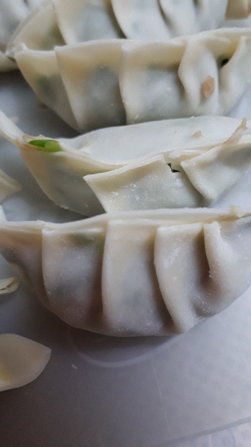 餃子作り_c0226331_17174020.jpg
