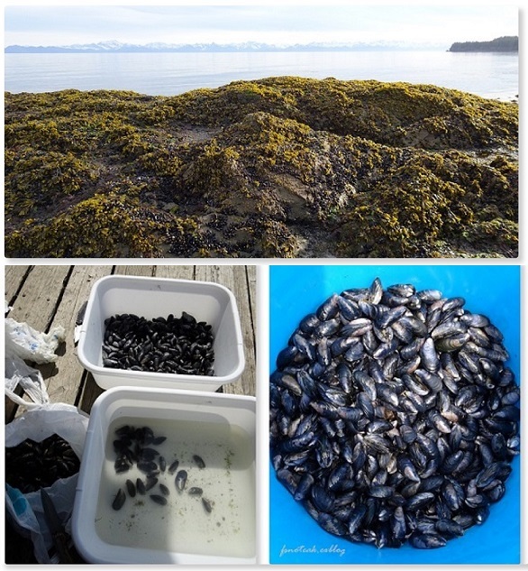 Bay ヒルトン滞在 後半_d0356844_04201497.jpg