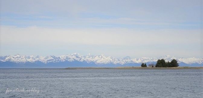 Bay ヒルトン滞在 後半_d0356844_04241404.jpg
