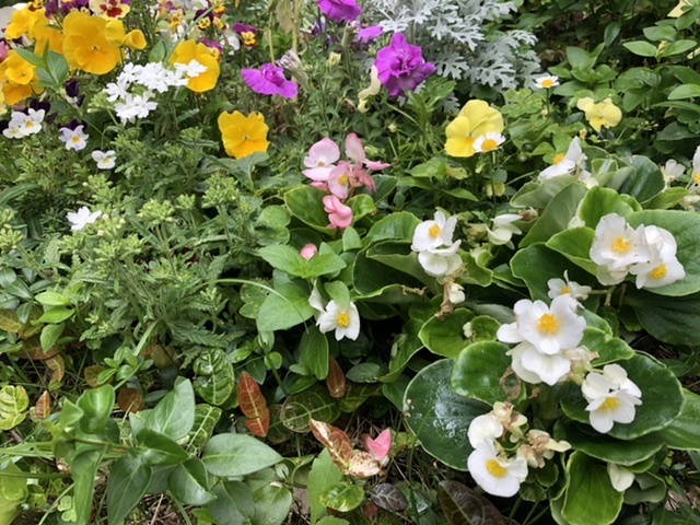 【密密な蜜たち】_b0009849_13520425.jpeg