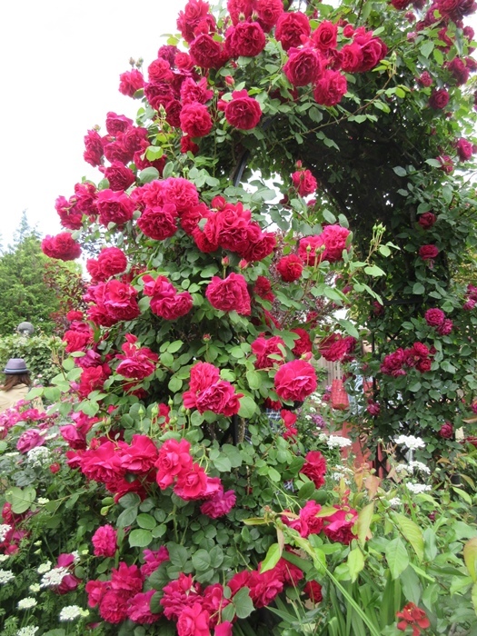 【密密な蜜たち】_b0009849_21035156.jpeg