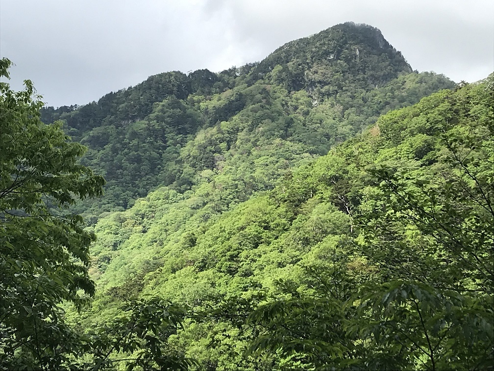 行者還岳 大峰山脈 東京志岳会