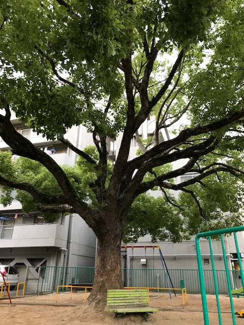 久しぶりの定例会議_a0399157_11500840.jpg