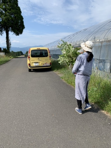 秋色アジサイ&真夏に元気な花苗市 お知らせその③_b0137969_06252406.jpeg