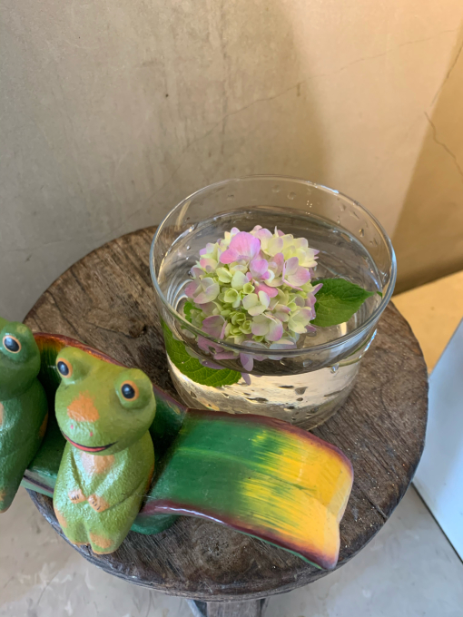 自祝期間で分かったこと…_f0152875_23292762.jpg