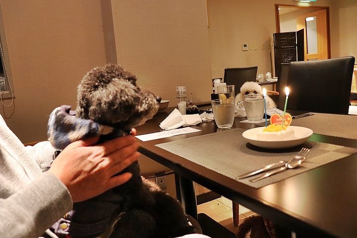 夕食とケーキととーちゃんの涙。【誕生日旅行7】_b0111376_14271056.jpg
