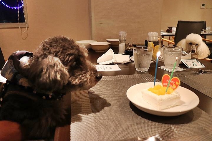 夕食とケーキととーちゃんの涙。【誕生日旅行7】_b0111376_14311759.jpg