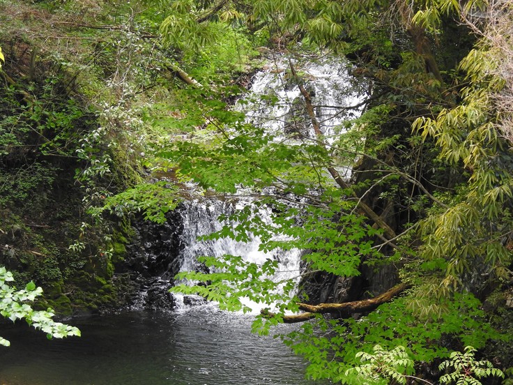 『釜ヶ滝渓谷と釜ヶ滝三ノ滝の風景～』_d0054276_20124147.jpg