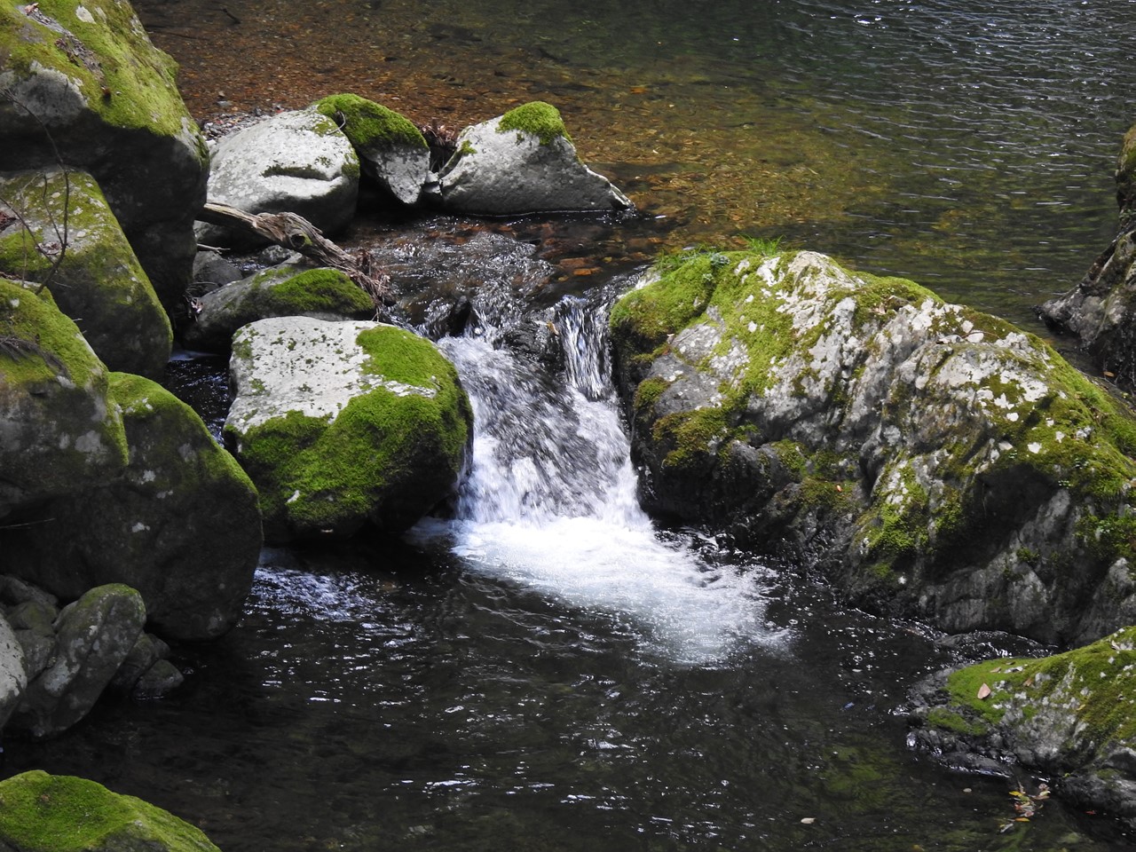 『釜ヶ滝渓谷と釜ヶ滝三ノ滝の風景～』_d0054276_20125567.jpg