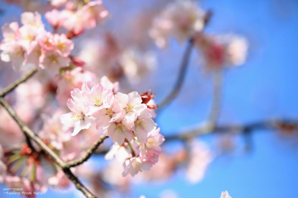 条件_c0356480_21351377.jpg