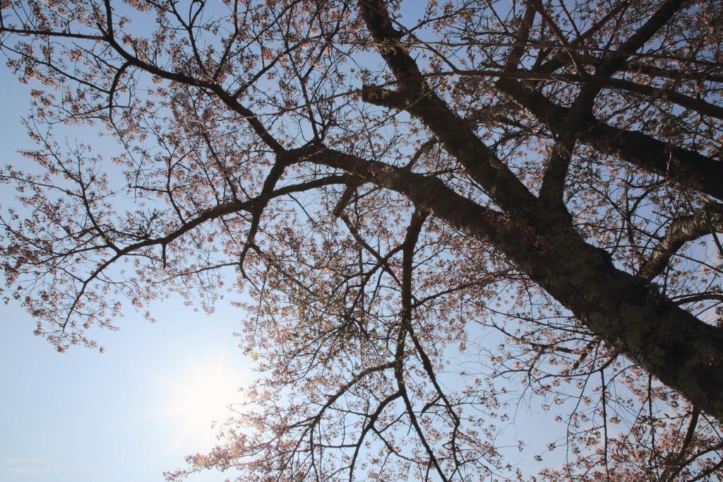 条件_c0356480_21351473.jpg