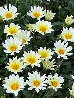 ちいさな一歩!_f0026093_01313925.jpg