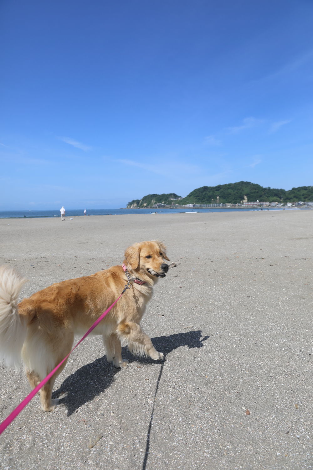 白潮♪_b0275998_00101610.jpg
