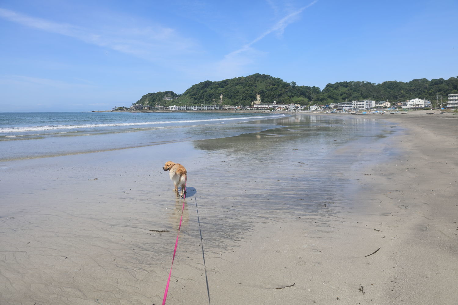 白潮♪_b0275998_00103812.jpg