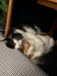 ニコニコ通信 -Vol.11-_f0242002_10330467.jpeg