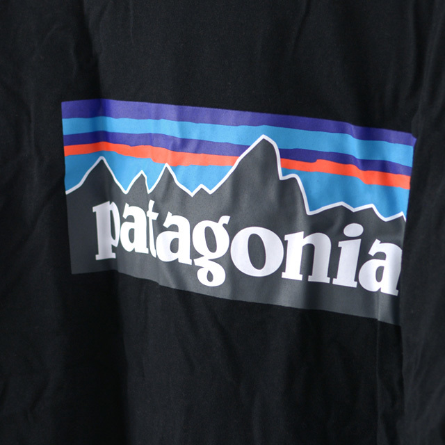 Patagonia [パタゴニア] Men\'s P-6 Logo Responsibili-Tee [38504] メンズ・P-6ロゴ・レスポンシビリティー MEN\'S/LADY\'S_f0051306_16001466.jpg