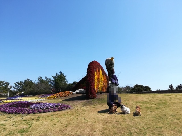 犬連れ淡路島旅行_a0390219_06014765.jpeg