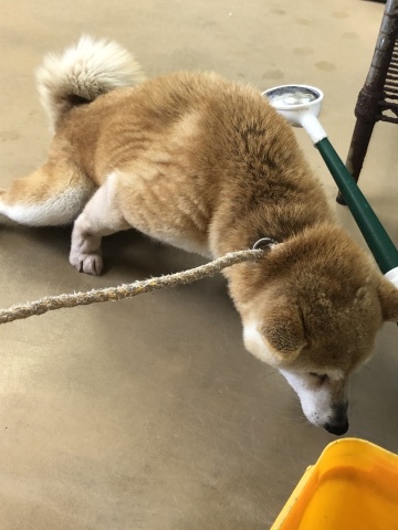 _f0078320_20482671.jpeg