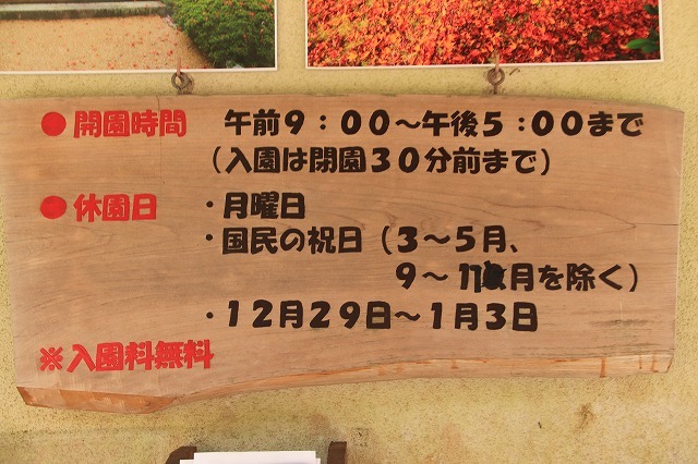 新緑の種まき権兵衛の里散歩(その1)(撮影:4月15日)_e0321325_15344128.jpg