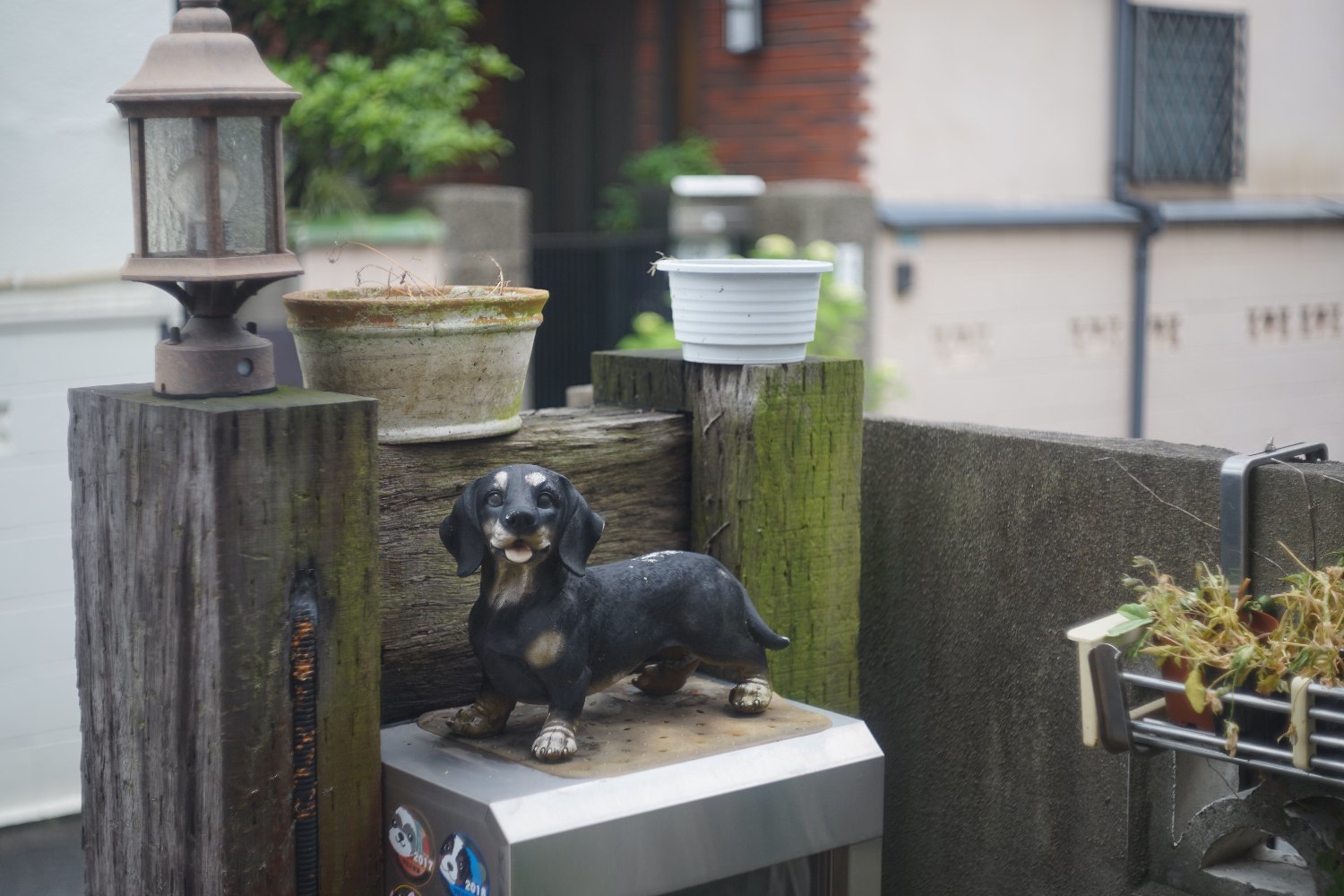 ひさしぶりの Takumar 58mm F2.4 で_b0069128_09322962.jpg