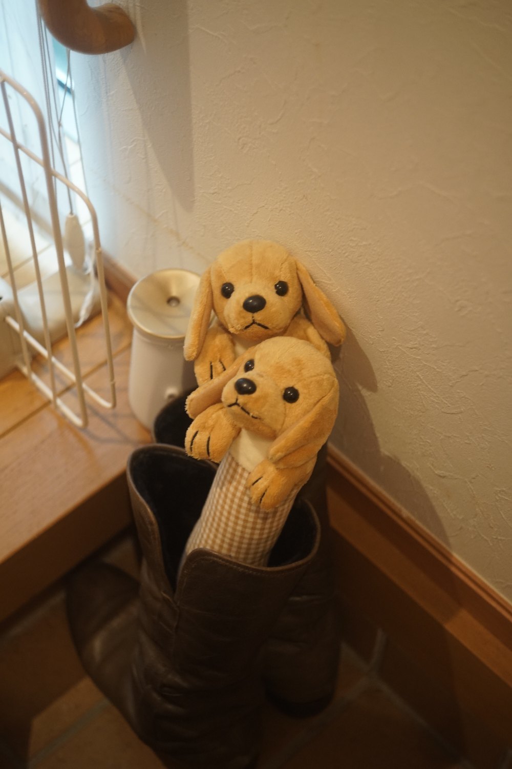 ひさしぶりの Takumar 58mm F2.4 で_b0069128_09323333.jpg