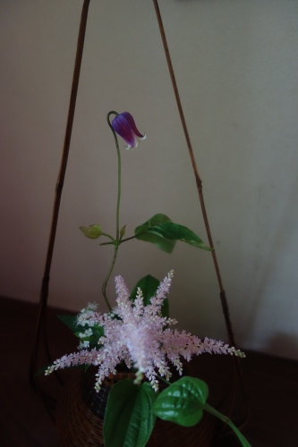 季節は初夏へ_a0197730_09383430.jpg