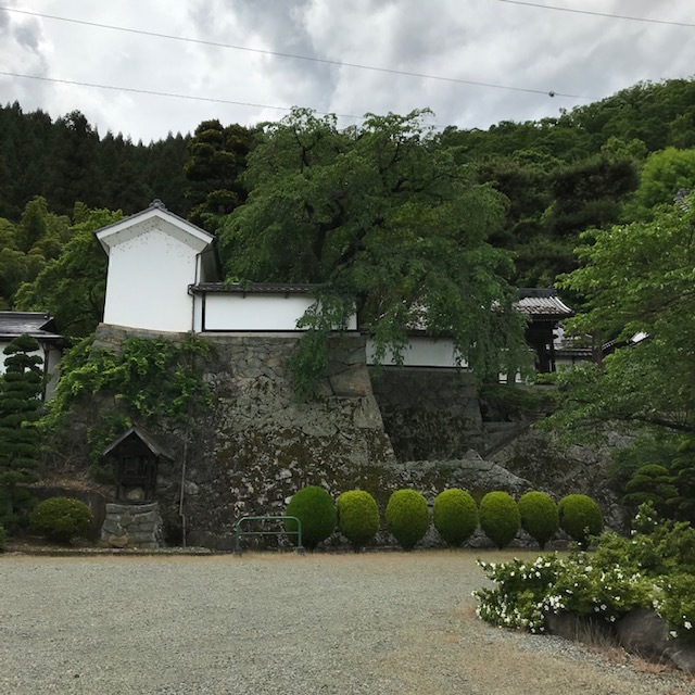 大雲寺とハンバーガーと_e0226943_22571982.jpg