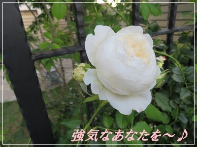 うた 元気を出して ばぁ 夢 うた 元気を出して ばぁ 夢