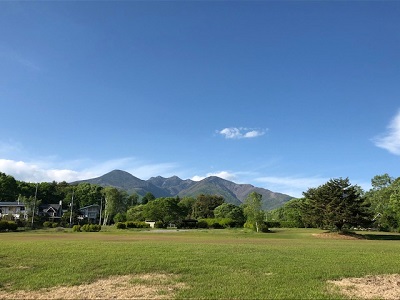 新緑から深緑へ_f0019247_21464075.jpg
