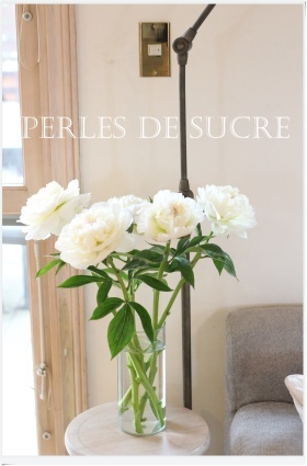 ジューンベリーとスコーンと Perles De Sucre