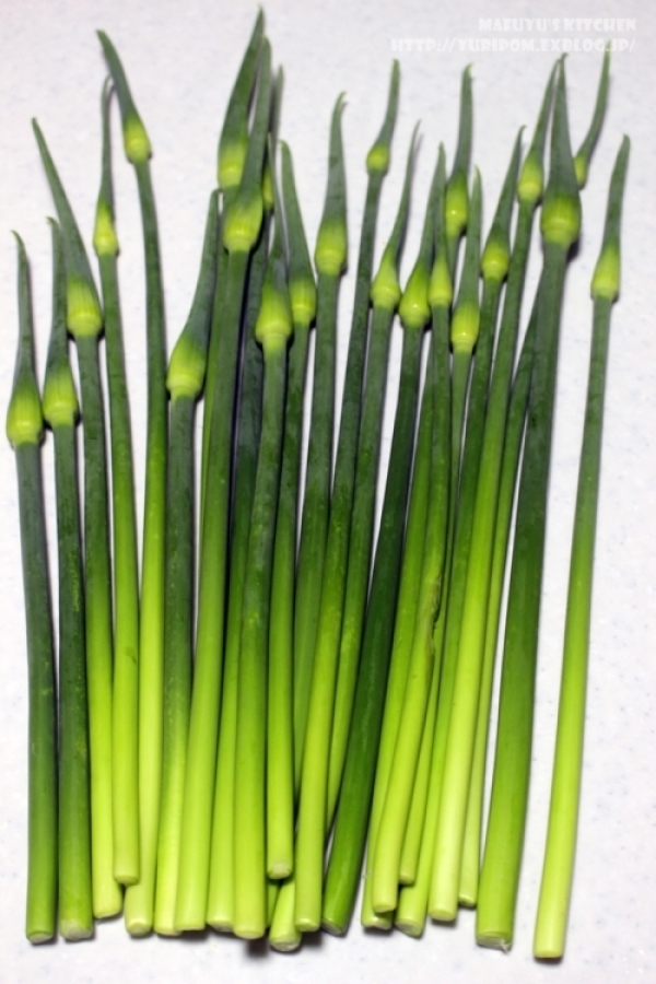 野菜保存術 国産ニンニクの芽 茎 使い方と下茹で 冷凍保存方法 スパイスと薬膳と 野菜保存術 国産ニンニクの芽 茎 使い方と下茹で 冷凍保存方法 スパイスと薬膳と