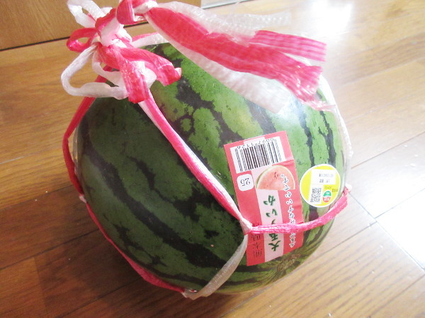 スイカ、1玉目@2020_c0152767_14410247.jpg