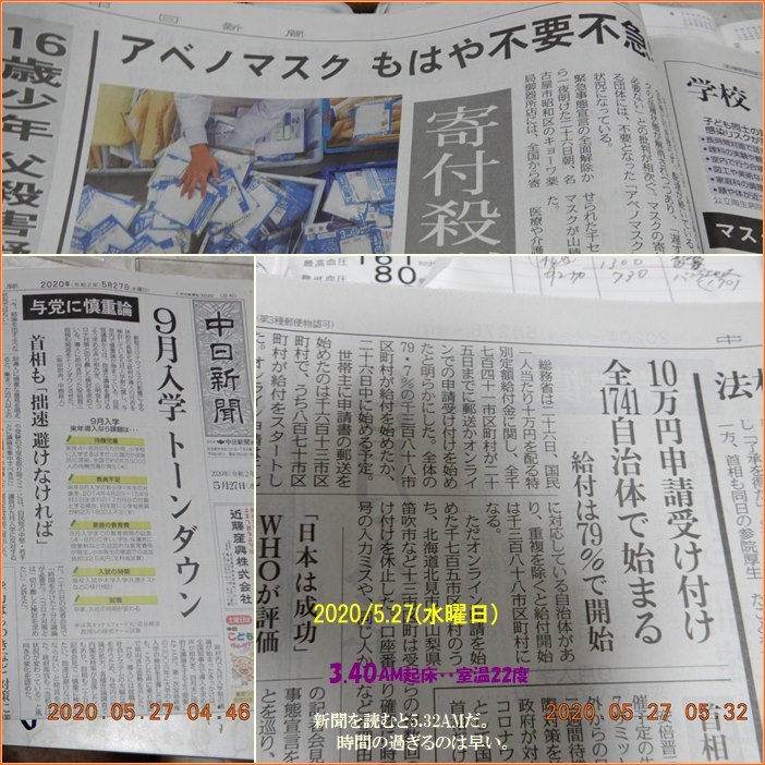 今年はじゃがいも不作 百合は2年目 昨年と今年・菜園の状況を比較 ...