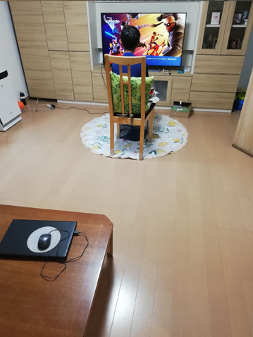 コロナ「困難がチャンスを生み出す」と、大人が生き様として体現できたらいいよね_d0169072_22275787.jpg
