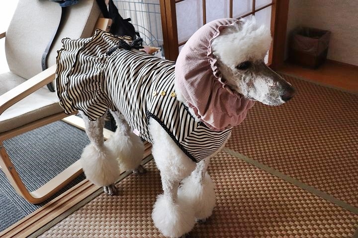 二日目は雨。【誕生日旅行8】_b0111376_15242405.jpg
