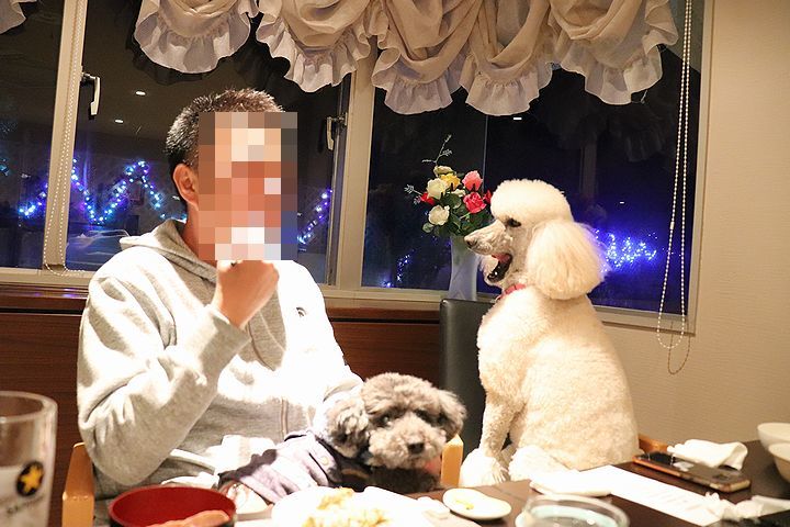 二日目は雨。【誕生日旅行8】_b0111376_15395076.jpg