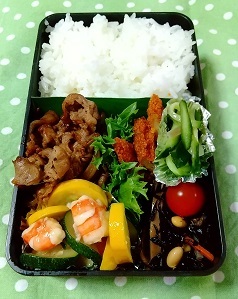 お弁当２日分_d0043390_21385529.jpg