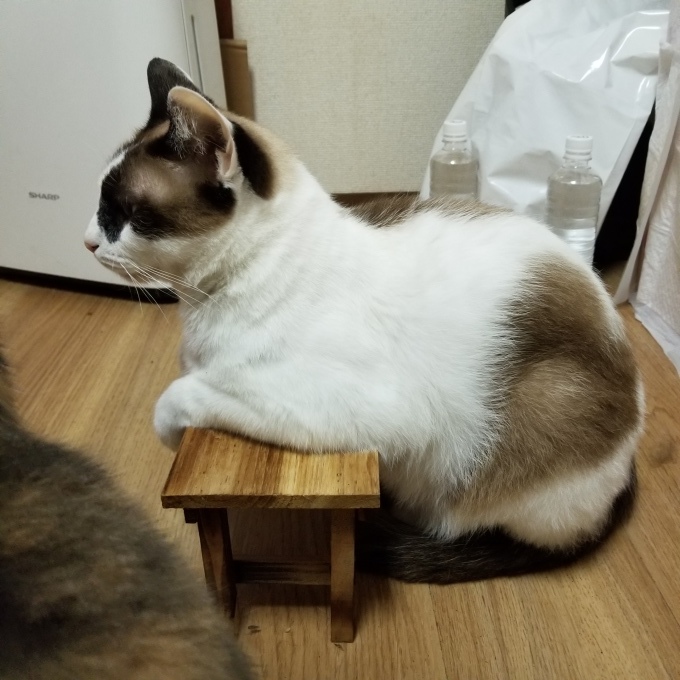 きゅうしょくとうばん_c0369492_01111329.jpg
