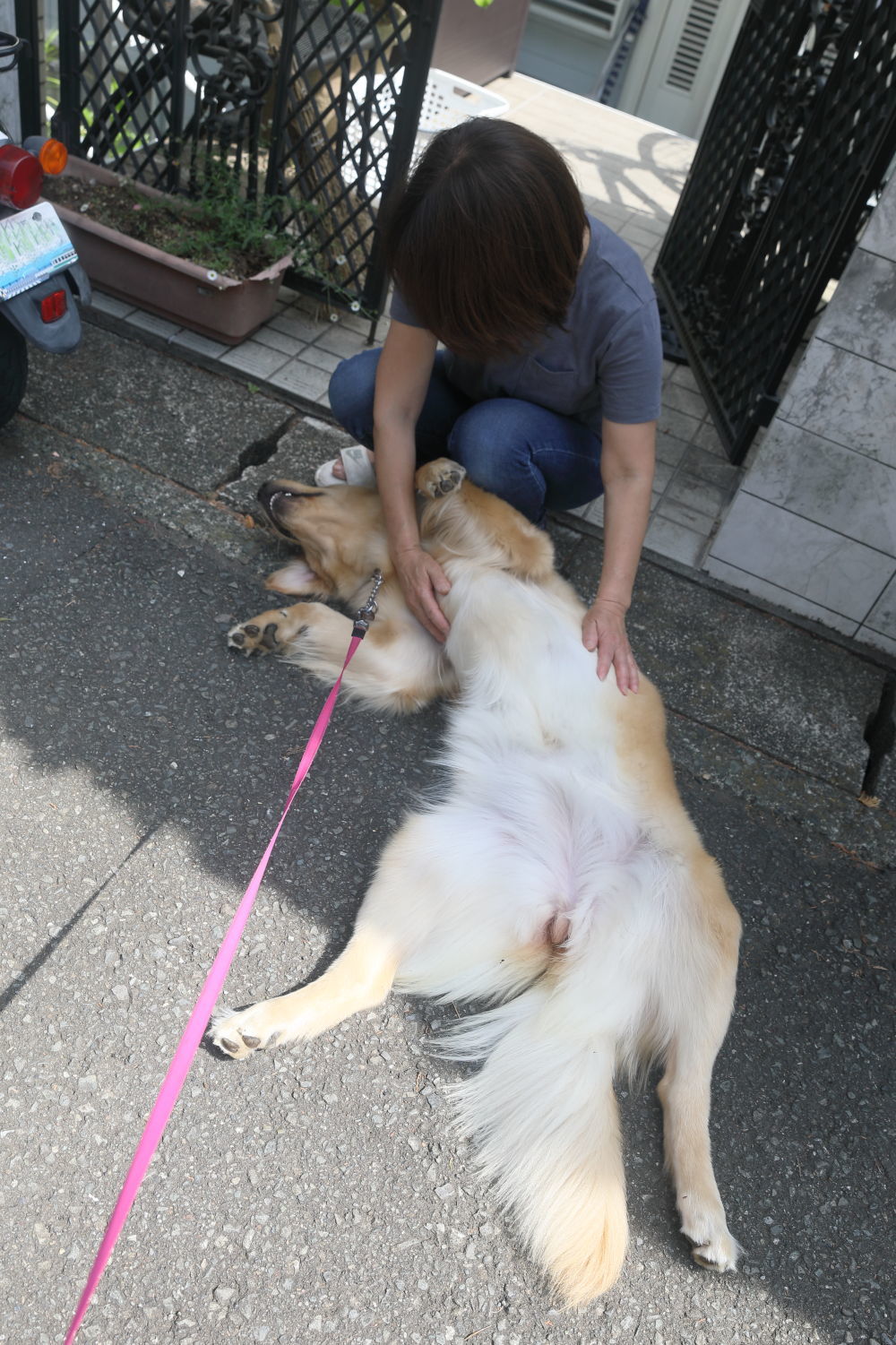 神主様の儀式♪_b0275998_23270516.jpg