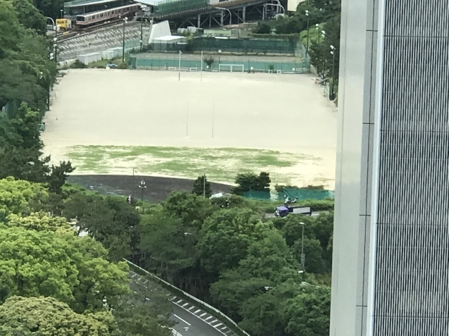 国立国際医療研究センターさんへの寄附、そして上智大学グラウンドの雑草_d0054704_18100959.jpg