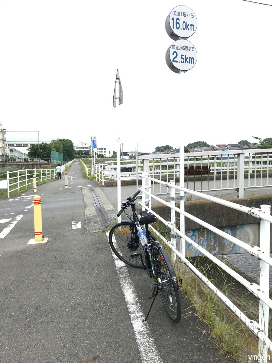 国道1号 東京 江の島 自転車