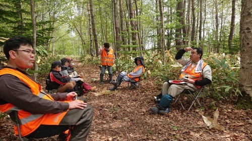 5月24日(土)柴原山林(風倒木処理 林内整理 草刈り 手鎌作業)_c0173813_18320813.jpg