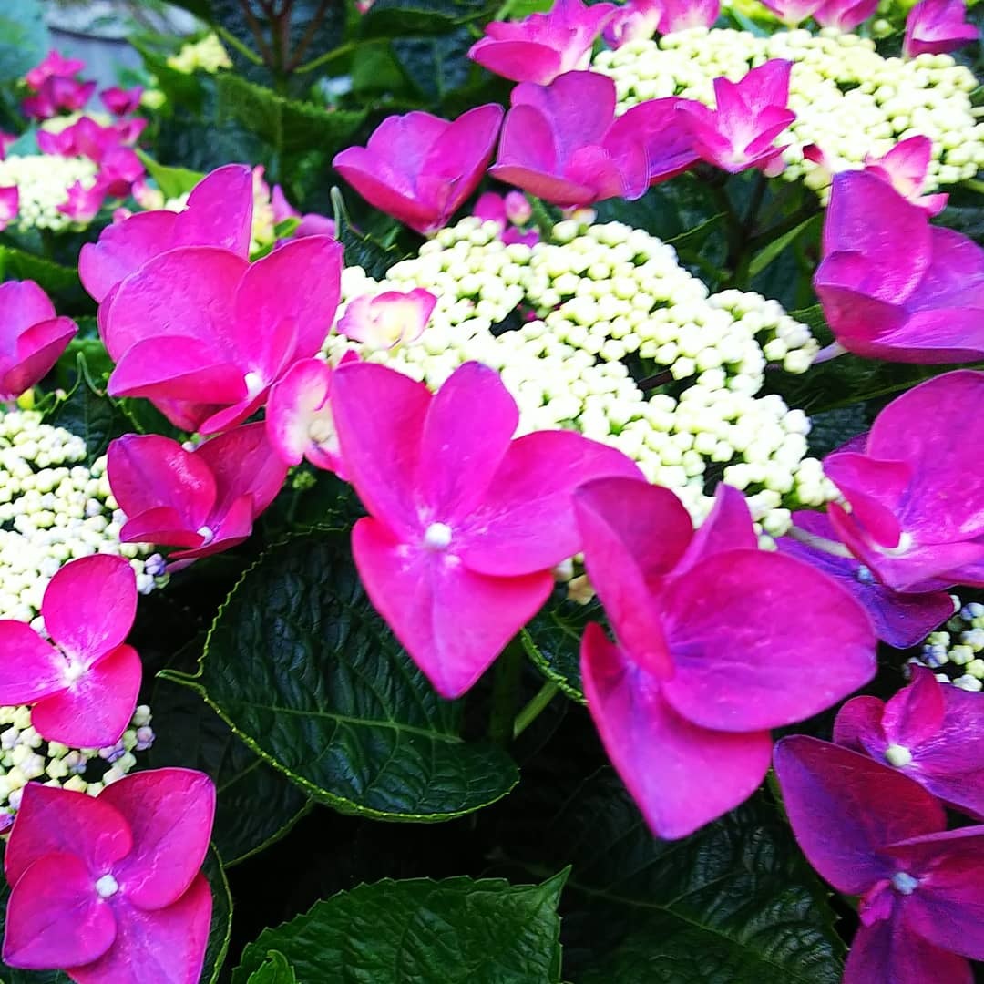 日常_a0098418_23424555.jpg