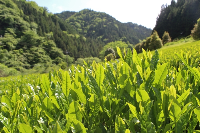 豊根村！_b0220318_16560250.jpg