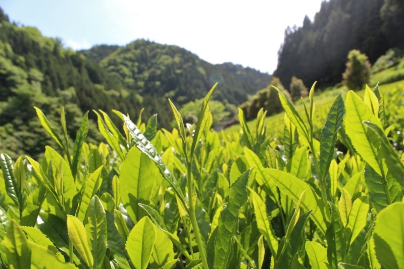豊根村！_b0220318_16561208.jpg