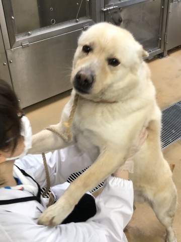 _f0078320_01462757.jpeg