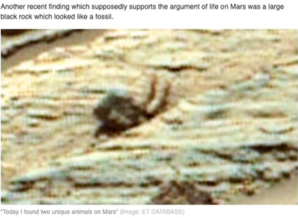 【ホントカナ】「火星で２種類の新種生命体発見」「浮遊する発光生命体」→地球のアセンションは遠いなあ！？_a0386130_07424396.png